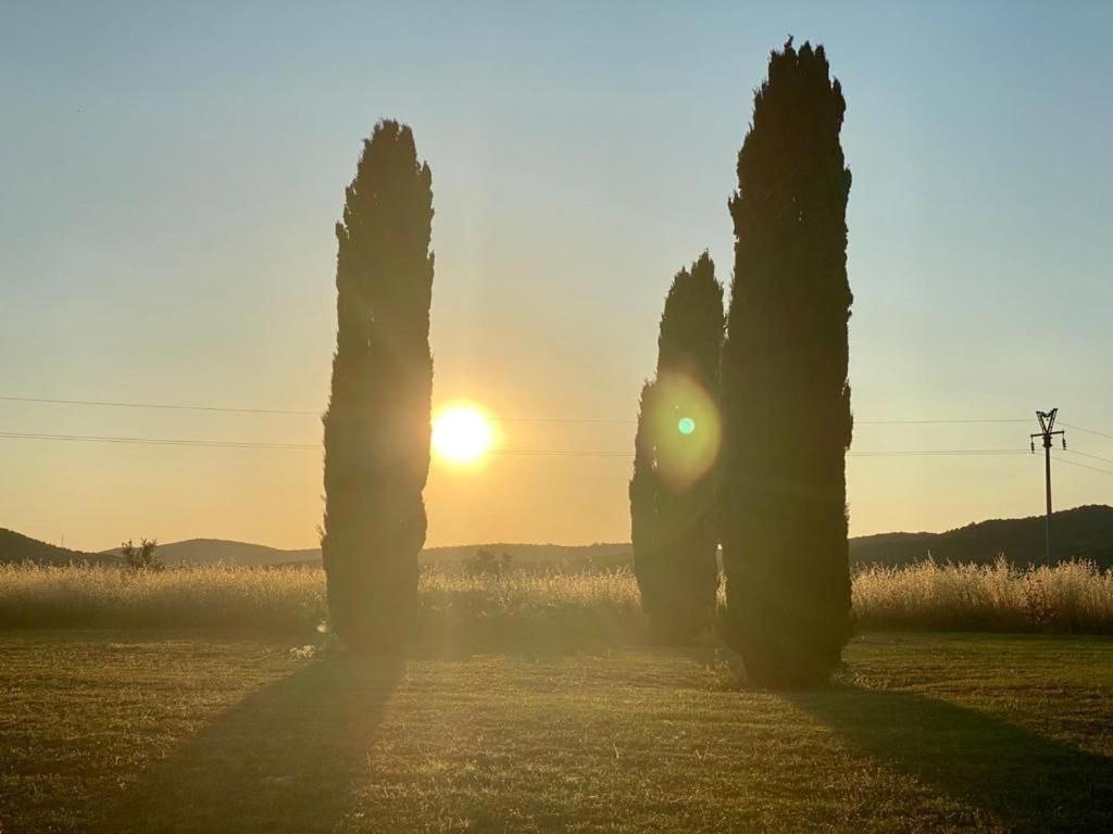 Casale Artemisia Capalbio Bed & Breakfast Bagian luar foto